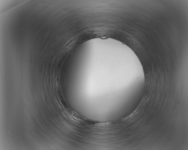 X0000060790136200511101044