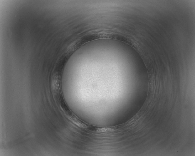 X0000060790137200511101044