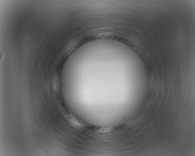 X0000060790138200511101044