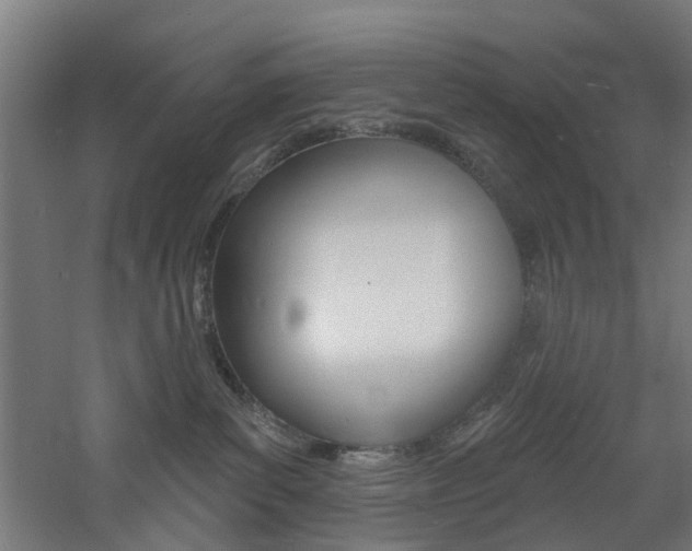 X0000060790139200511101044