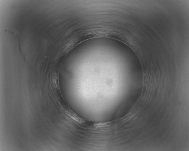 X0000060790141200511101044