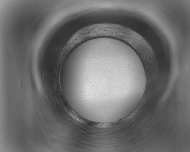 X0000060790142200511101044