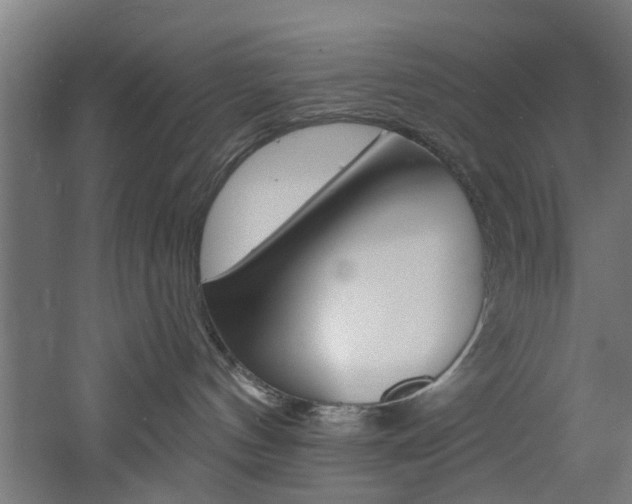 X0000060790144200511101044