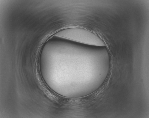 X0000060790145200511101043