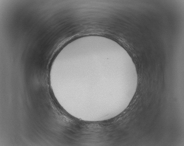 X0000060790146200511101043