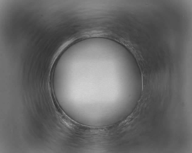 X0000060790147200511101043