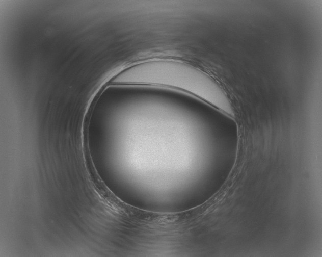 X0000060790148200511101043