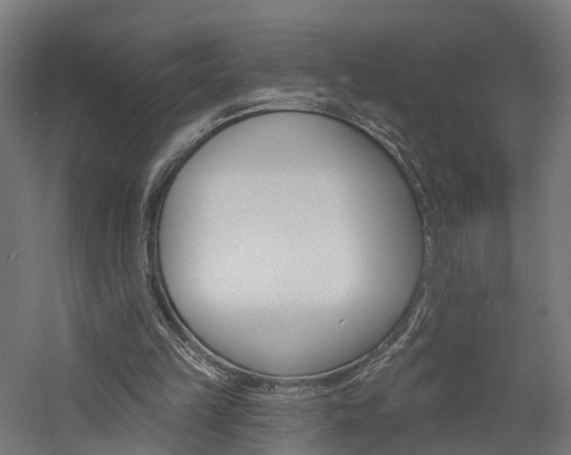 X0000060790149200511101043