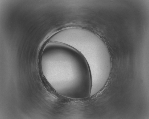 X0000060790150200511101043