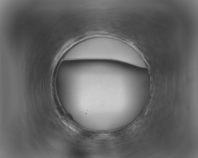 X0000060790151200511101043