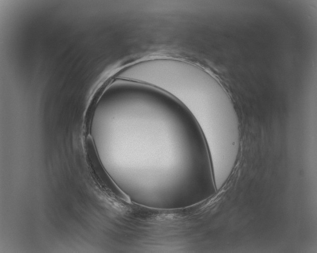 X0000060790152200511101043