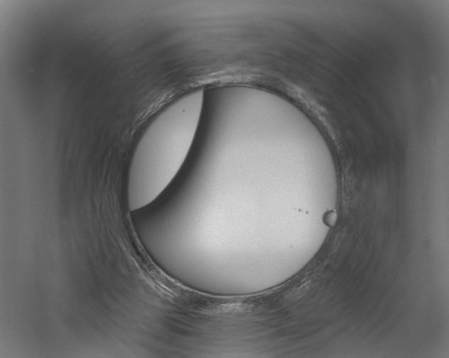 X0000060790153200511101043