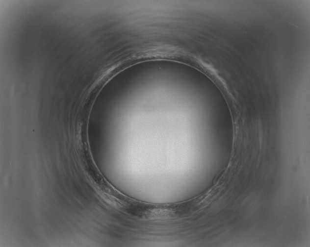 X0000060790154200511101043