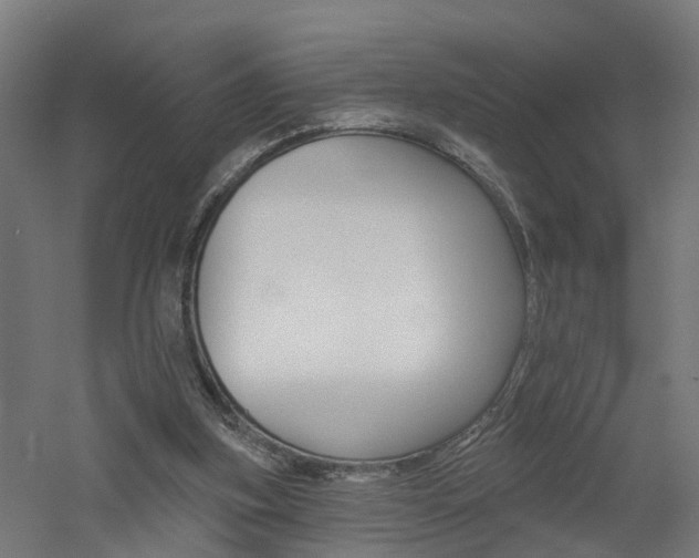 X0000060790155200511101043