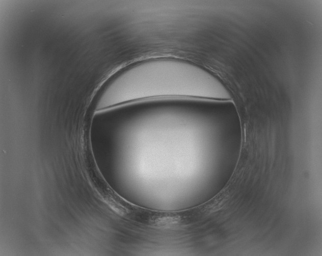 X0000060790156200511101043