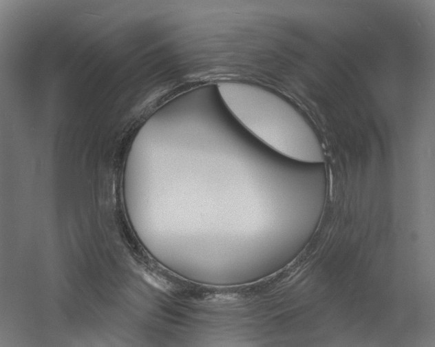 X0000060790157200511101043