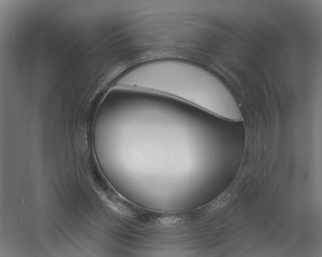 X0000060790158200511101043