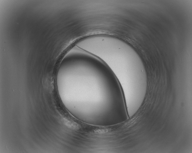 X0000060790160200511101043