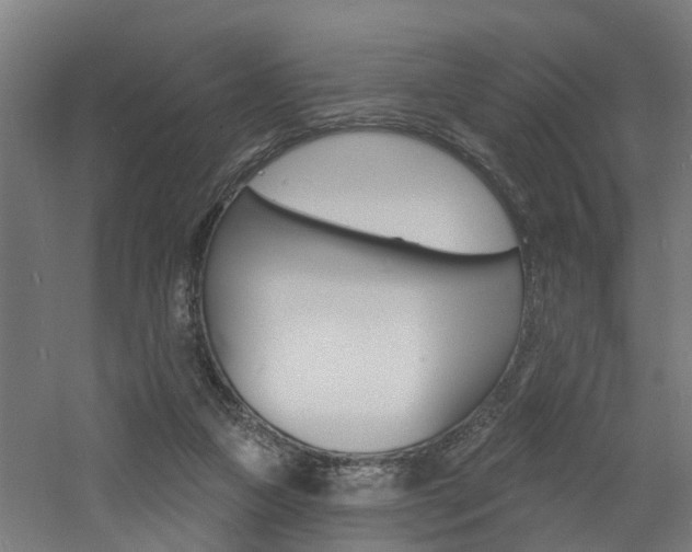 X0000060790161200511101043