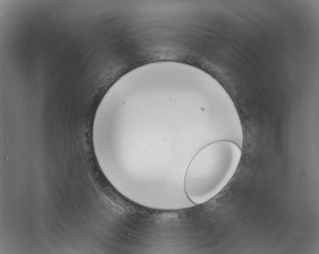 X0000060790162200511101043