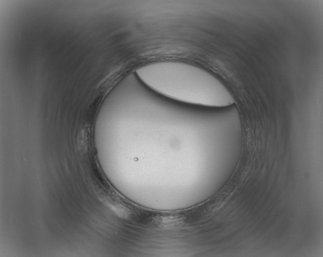 X0000060790165200511101044