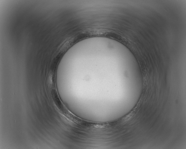 X0000060790166200511101044