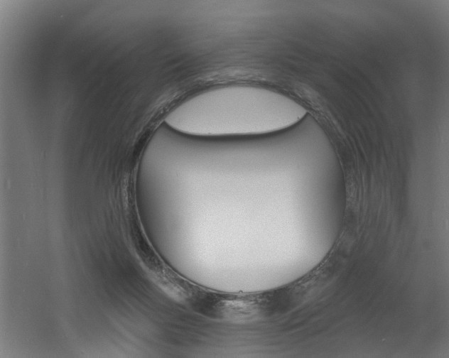 X0000060790167200511101044