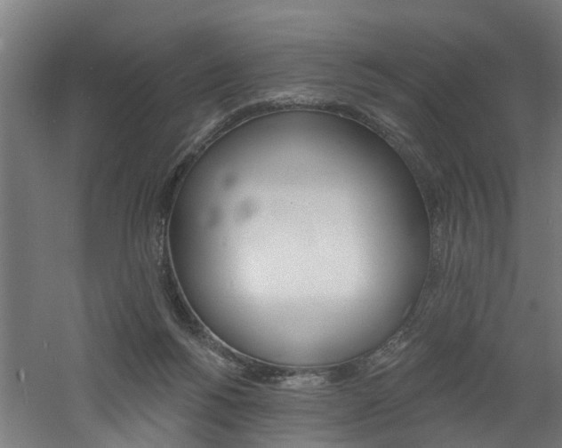 X0000060790168200511101044