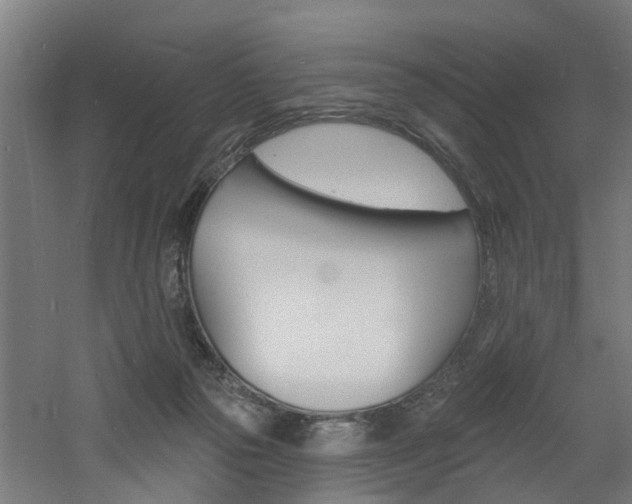 X0000060790169200511101044