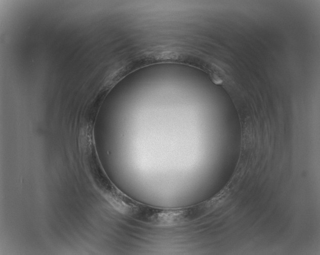 X0000060790172200511101044