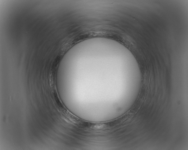 X0000060790173200511101044