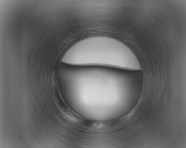 X0000060790174200511101044