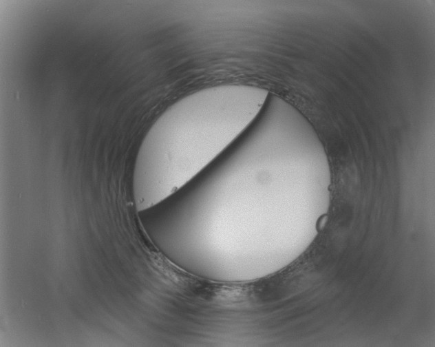 X0000060790177200511101044