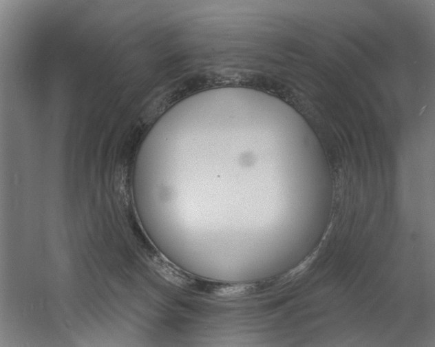 X0000060790178200511101044