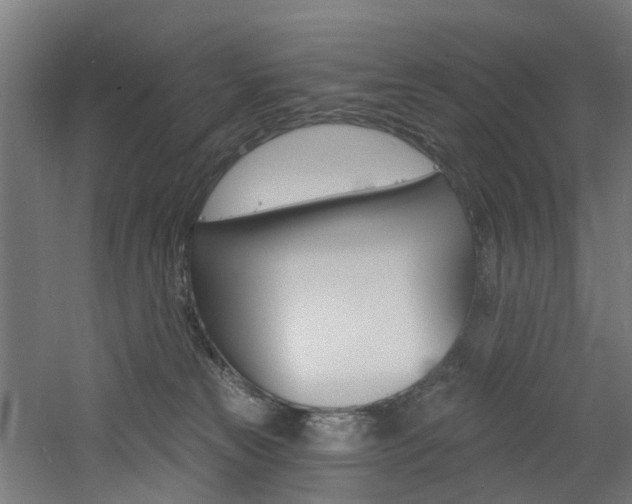 X0000060790181200511101044