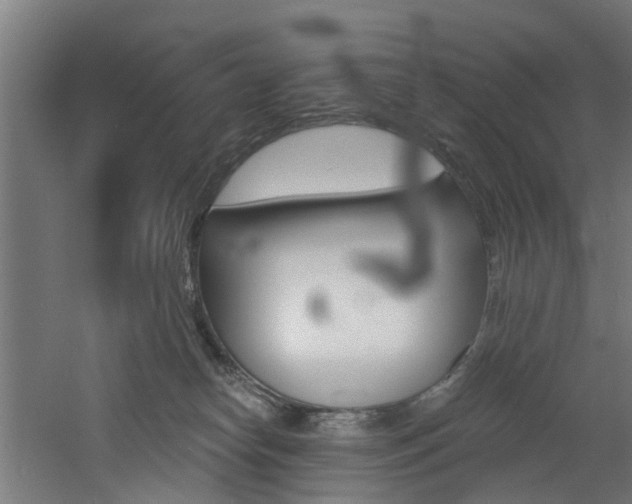 X0000060790182200511101044