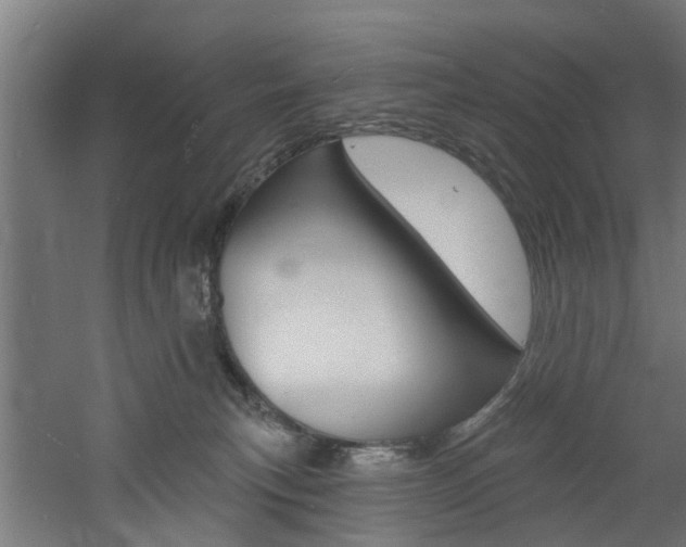 X0000060790183200511101044