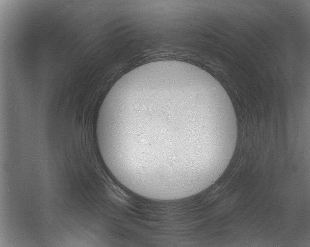 X0000060790185200511101044