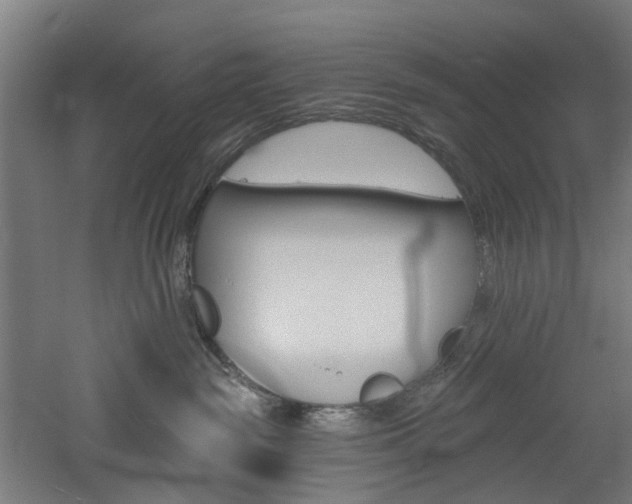 X0000060790189200511101044