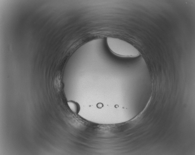 X0000060790190200511101044