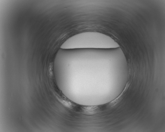 X0000060790191200511101044