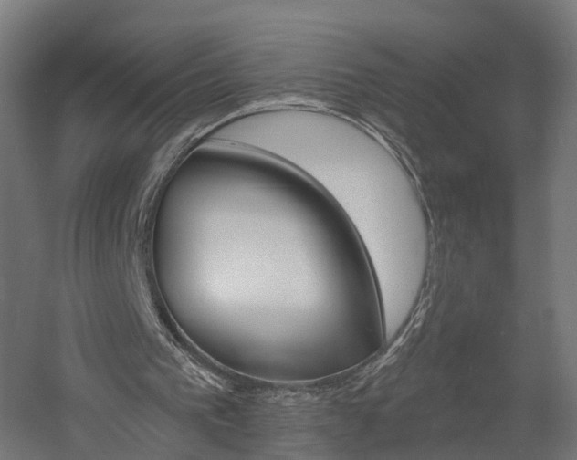 X0000060790193200511101043