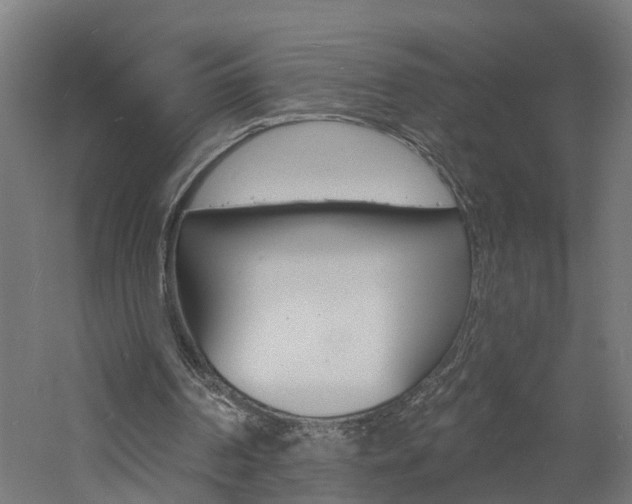 X0000060790194200511101043