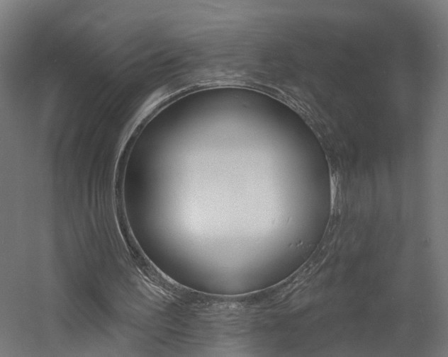 X0000060790195200511101043