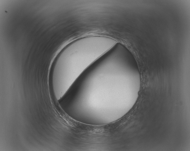 X0000060790196200511101043