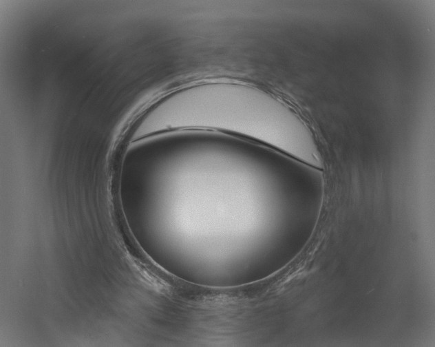 X0000060790197200511101043