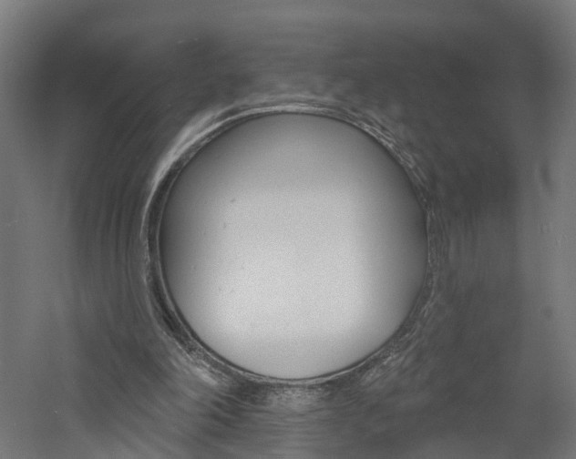 X0000060790198200511101043