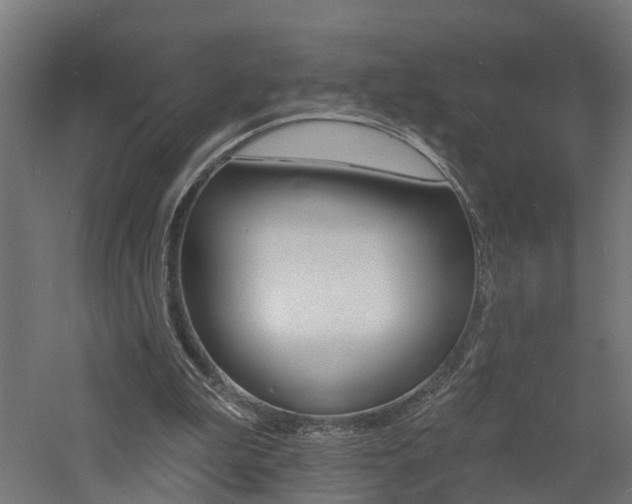 X0000060790199200511101043