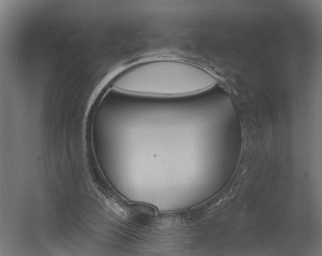 X0000060790200200511101043