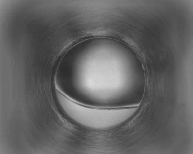 X0000060790201200511101043